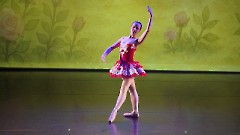 046. Благотворительный балетный гала-концерт в Центре культуры «Мере» 30 ноября 2025 г. Фото- Александр Хмыров