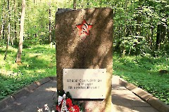 11. Братская могила в Азери. 29. 05.2018. Фото Александра Хмырова