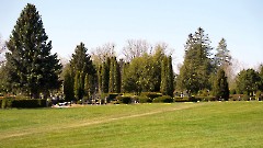 2. Люганузе. Кладбище. 8 мая 2024 г. Фото - Александр Хмыров