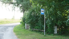 1. Локса. Воинское захоронение № 5. Фото - Александр Хмыров, 30 июля 2025 г.