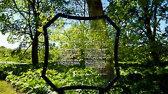 23. Мыза Кильтси. 25 мая 2026 года. Фото- Александр Хмыров