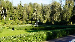 04. Мыза Палмсе. Парк. 24 сентября 2025 г. Фото- Александр Хмыров