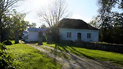 13. Мыза Палмсе. Парк. 24 сентября 2025 г. Фото- Александр Хмыров
