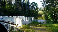 23. Мыза Палмсе. Парк. 24 сентября 2025 г. Фото- Александр Хмыров