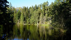 24. Мыза Палмсе. Парк. 24 сентября 2025 г. Фото- Александр Хмыров