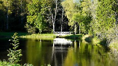 29. Мыза Палмсе. Парк. 24 сентября 2025 г. Фото- Александр Хмыров