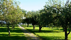 40. Мыза Палмсе. Парк. 24 сентября 2025 г. Фото- Александр Хмыров
