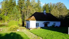 49. Мыза Палмсе. Парк. 24 сентября 2025 г. Фото- Александр Хмыров