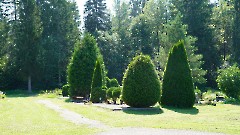 3. Тамсалу. Кладбише. Фото - Александр Хмыров, 30 июля 2025 г.