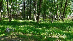 3. Старое кладбище Тапа. Фото - Александр Хмыров, 30 июля 2025 г.