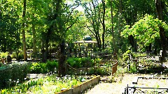 25. Александро-Невское кладбище. Таллин. Фото - Александр Хмыров