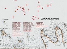 tallinskij_perekhod_map_05