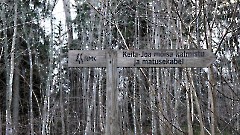 01. Кладбище мызы Кейла-Йоа. Фото- Александр Хмыров, 15 ноября 2025 г.