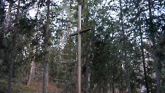 02. Кладбище мызы Кейла-Йоа. Фото- Александр Хмыров, 15 ноября 2025 г.