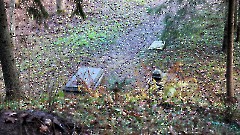 03. Кладбище мызы Кейла-Йоа. Фото- Александр Хмыров, 15 ноября 2025 г.