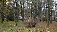 04. Козе Ууэмыза и парк. Фото- Александр Хмыров, 1 ноября 2025 г.