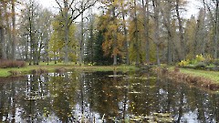 08. Козе Ууэмыза и парк. Фото- Александр Хмыров, 1 ноября 2025 г.