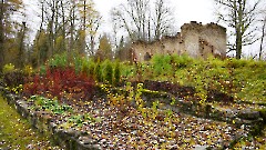 11. Козе Ууэмыза и парк. Фото- Александр Хмыров, 1 ноября 2025 г.