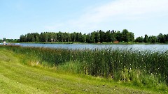 02. Мыза Керну, 11 июля 2026 г. Фото- Александр Хмыров