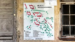09. Мыза Колга, 9 августа 2026 г. Фото- Александр Хмыров