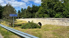 17. Мыза Колга, 9 августа 2026 г. Фото- Александр Хмыров