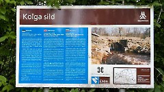 18. Мыза Колга, 9 августа 2026 г. Фото- Александр Хмыров
