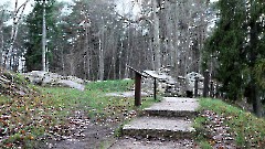 03. Развалины усадьбы Meremõis. Фото- Александр Хмыров, 15 ноября 2025 г.