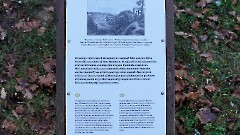 05. Развалины усадьбы Meremõis. Фото- Александр Хмыров, 15 ноября 2025 г.