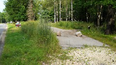 3. Валгаский уезд. Ала. 25 июля 2025 г. Фото- Александр Хмыров