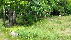 4. Валгаский уезд. Ала. 25 июля 2025 г. Фото- Александр Хмыров