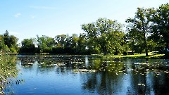 09. Замок Лоде (Ко́лувере), 6 сетября 2026 г. Фото- Александр Хмыров