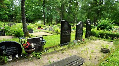 5. Кохила. Кладбище, 13 июля 2026 г. Фото- Александр Хмыров