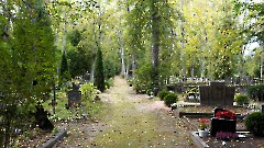 5. Канепи Мяэ кладбище. 28 сентября 2025 г. Фото- Александр Хмыров