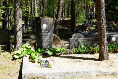 litvinov_aleksandr_ivanovich_2022-06-17_03