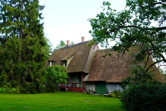 09