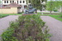 p-lva-vaade-v-ru-tn-poolsest-kuljest-foto-viktor-l-hmus-19052009