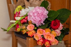 Открытие фотовыставки Жанны Соколовой в Центре Русской Культуры