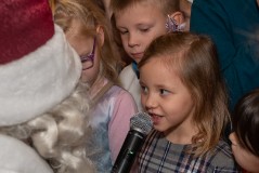 Рождественская Ёлка в Центре Русской Культуры