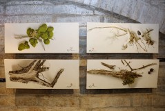 Выставка современного искусства Республики Беларусь в Национальной библиотеке Эстонии