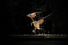 «Гадкий утенок». Театр кукол «Бродячая собачка»