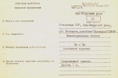 1. Ида-Вируский уезд. Воинское захоронение № 16 на кладбище Люганузе. Учётная карточка воинского захоронения.