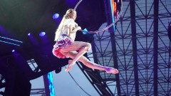 Увертюра к фестивалю: «Этот волшебный цирк»