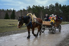 56. Vastlapäev Vabaõhumuuseumis. 2.03.2025 a. Foto - Urmas Roos