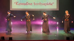 066. Фестиваль -Весенний праздник танца-. Центр русской культуры, 27 апреля 2025 г. Фото- Александр Хмыров