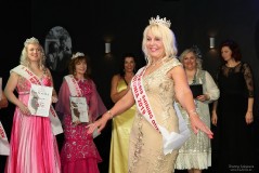 V конкурс красоты «Shining Queen 2019»