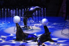 Мы - вместе!