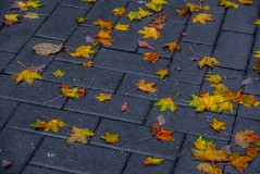 Онлайн конференция «Великий князь Александр Невский в истории государства и Церкви»