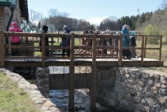 Спасо-Елеазаровский монастырь