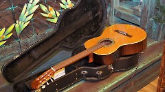 Музыкальный подарок Нарве от Елены Гараниной