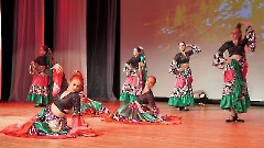 Танцевальный праздник в ДК «Ругодив»